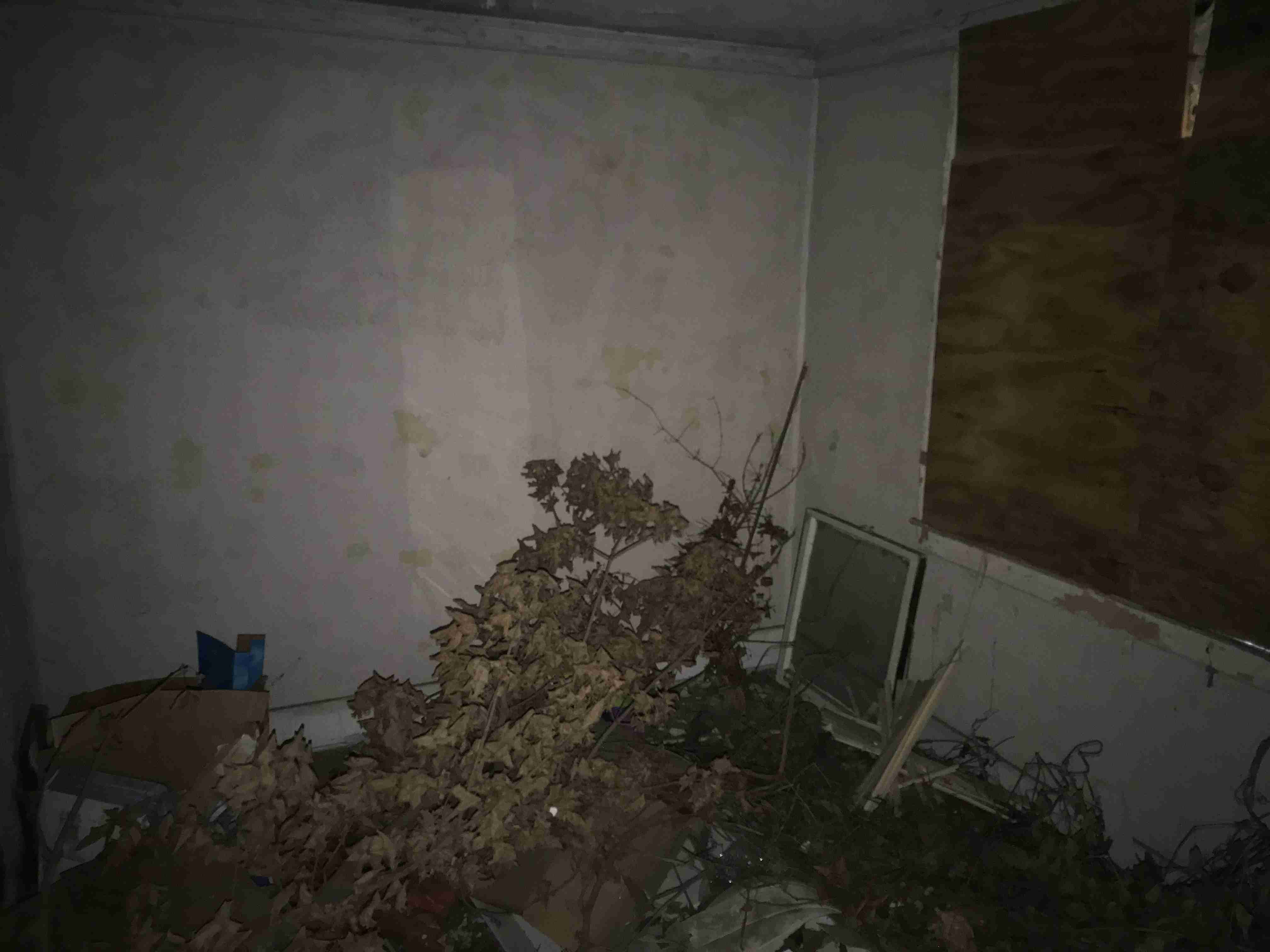 Photo Aug 20, 10 17 42 AM.jpg